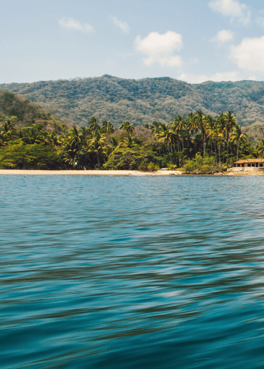 Mismaloya, where jungle meets the sea
