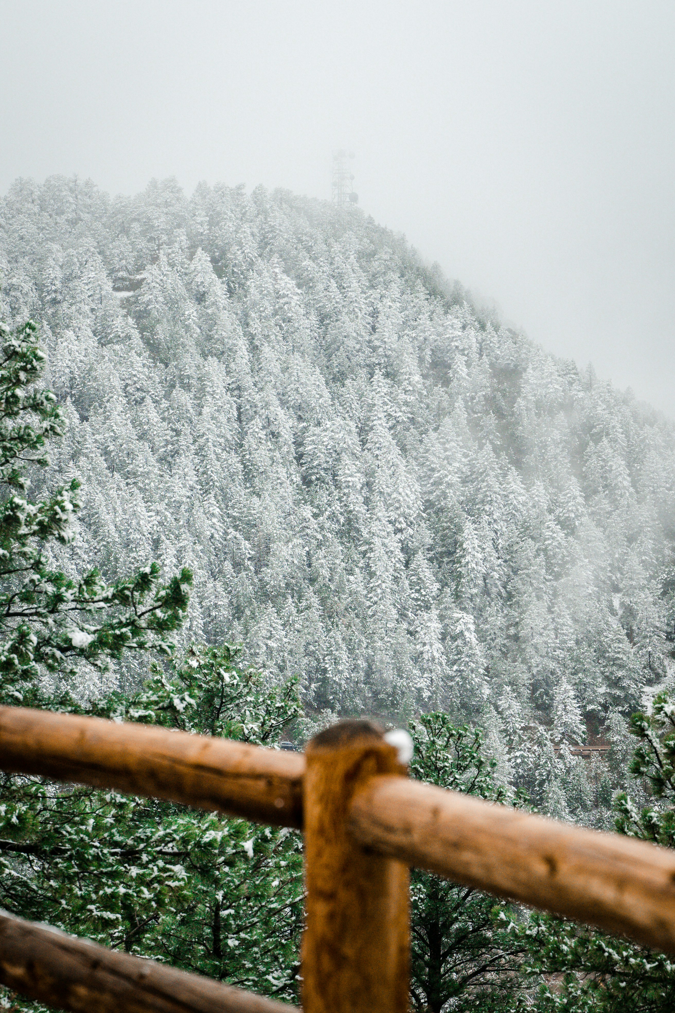 24 hours in Aspen - Uncover its alpine charms